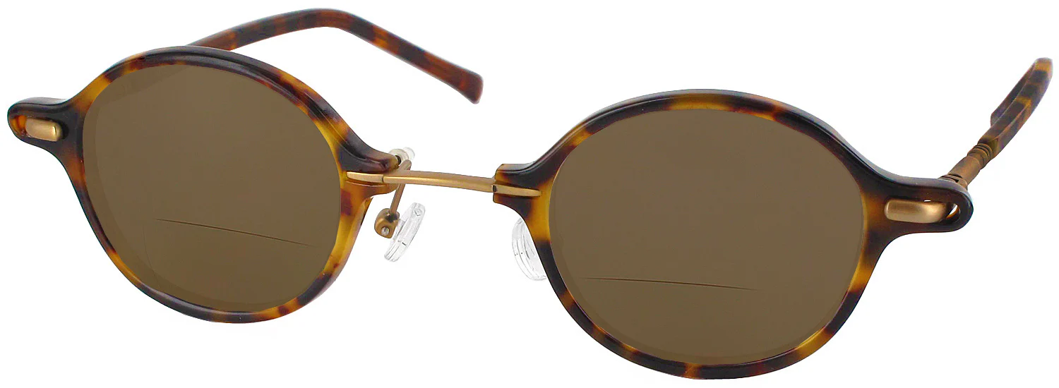 Archive III Bifocal Reading Sunglasses