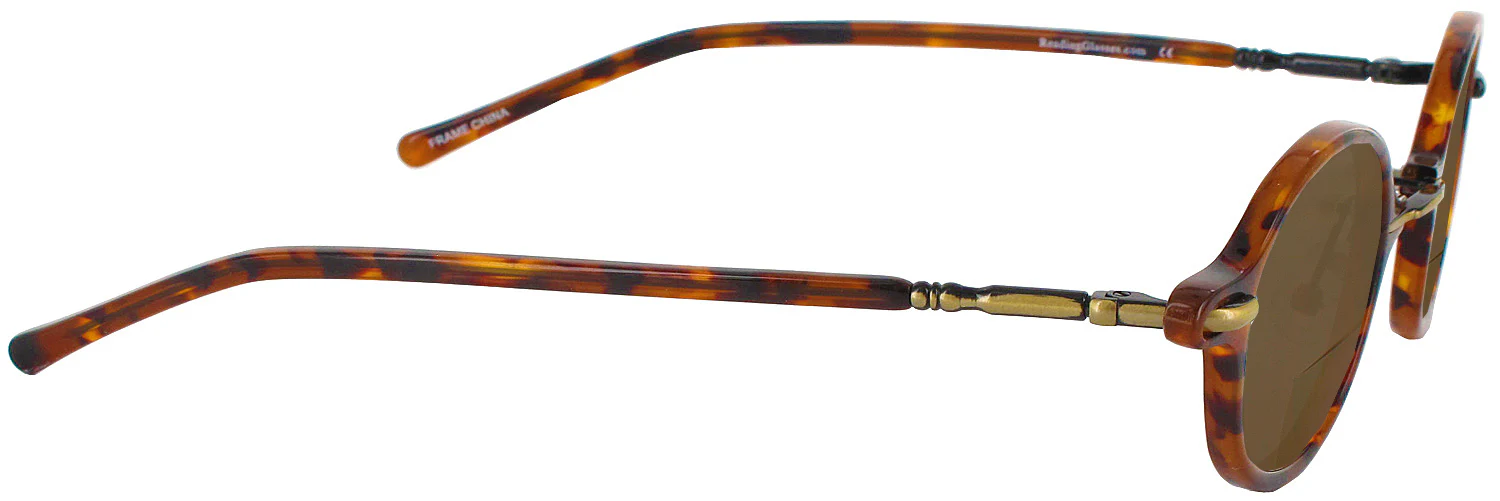 Archive III Bifocal Reading Sunglasses - Image 12