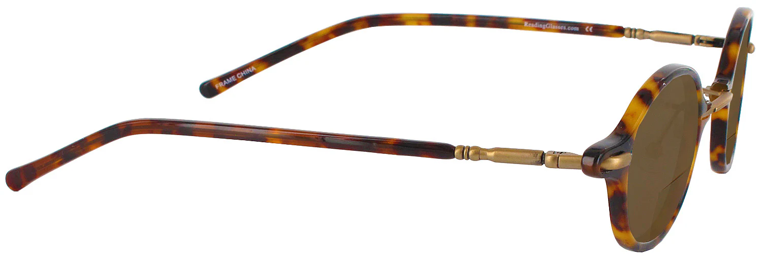 Archive III Bifocal Reading Sunglasses - Image 4
