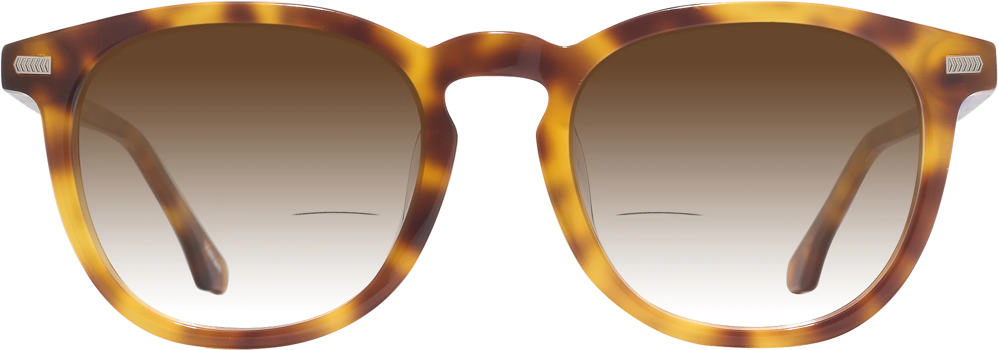 Beethoven Gradient Bifocal Reading Sunglasses - Image 10