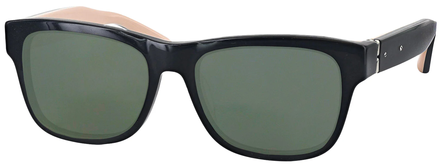 The Frank Progressive No Line Reading Sunglasses