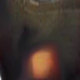The Logan Bifocal - Image 13