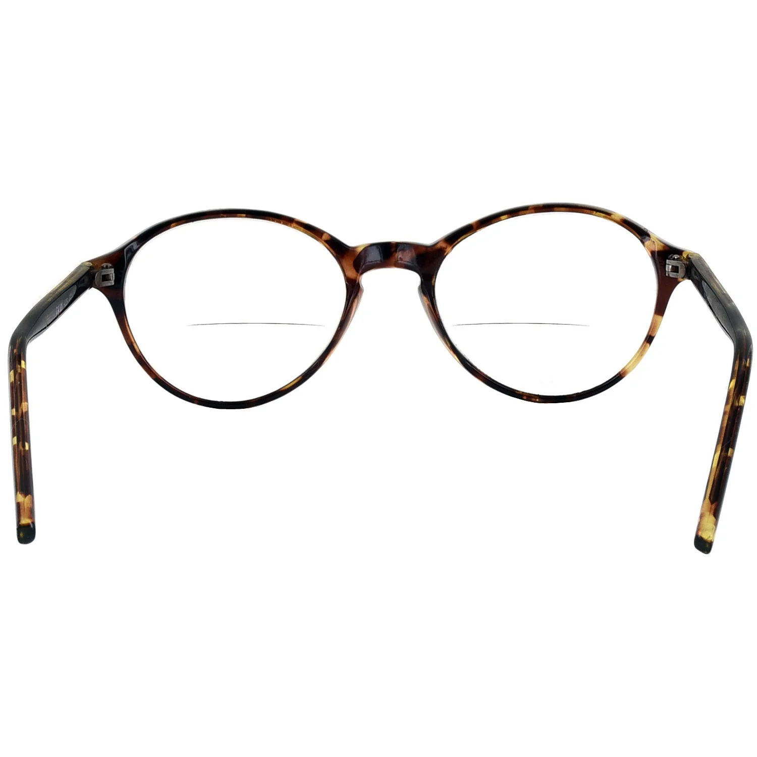 Calvin Bifocal - Image 16