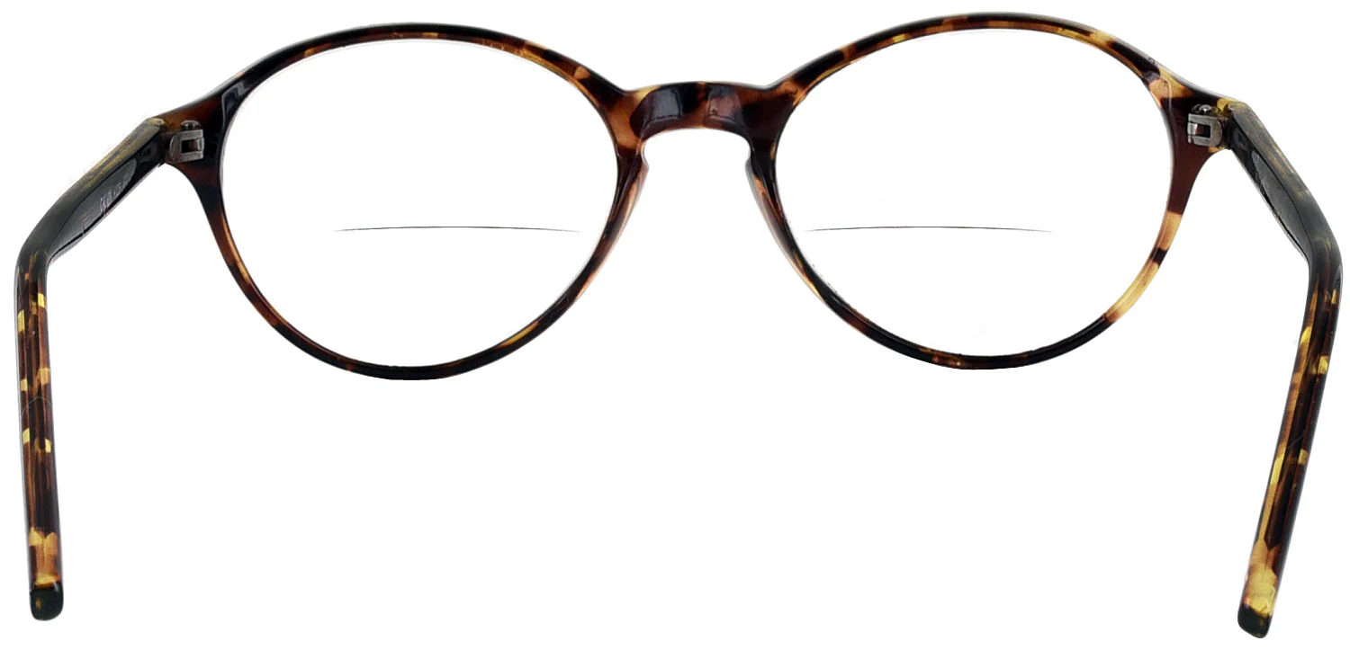 Calvin Bifocal - Image 24
