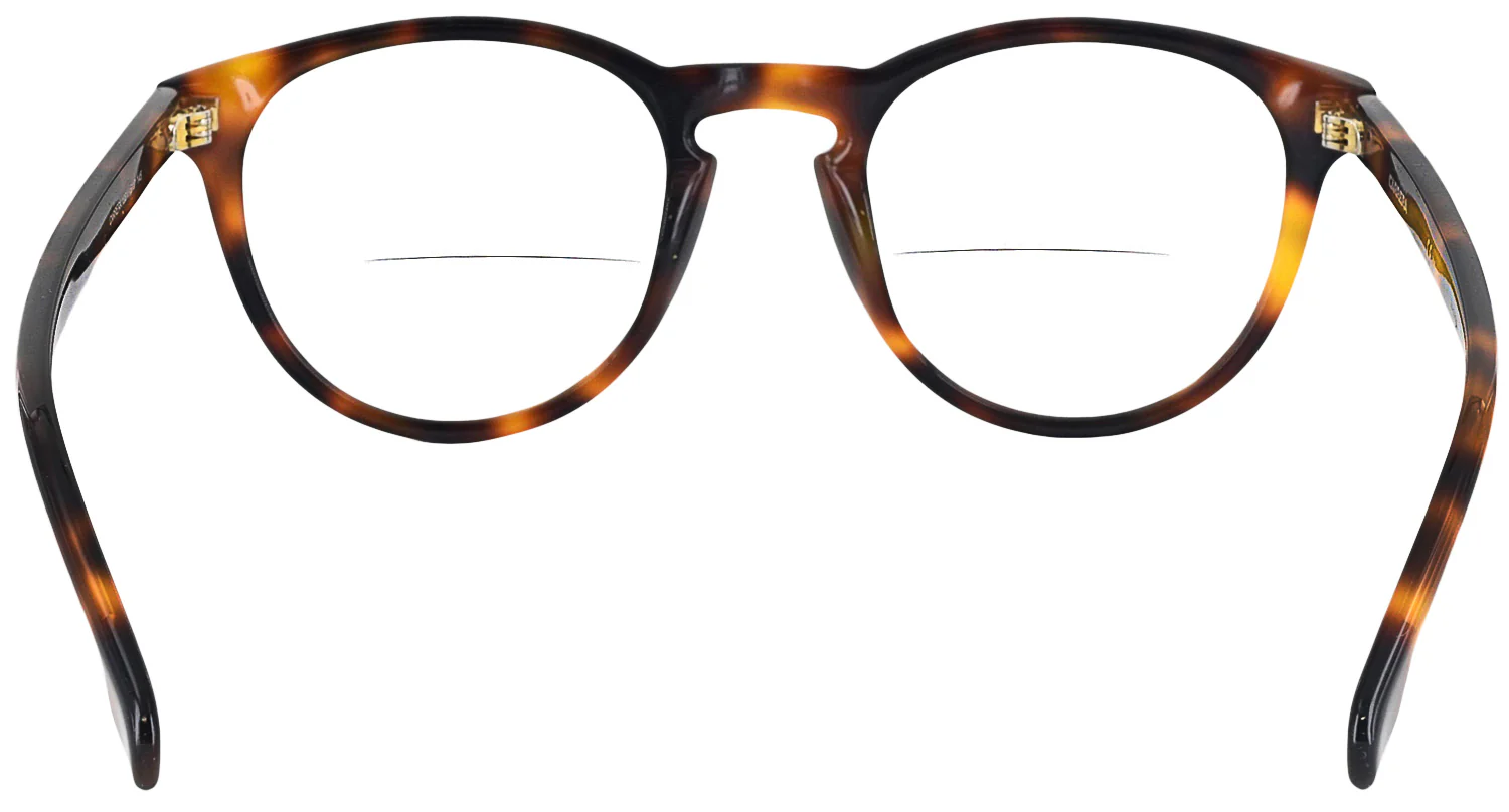 Carrera 136V Bifocal - Image 8