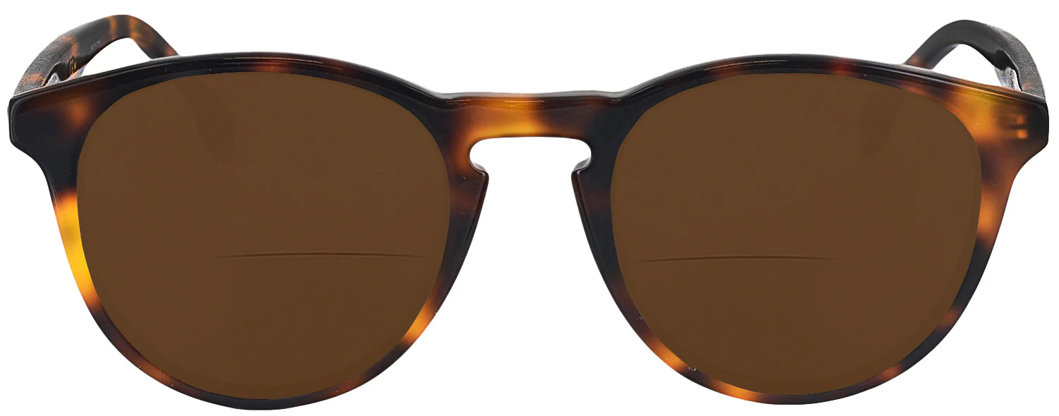 Carrera 136V Bifocal Reading Sunglasses - Image 6