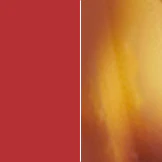 Carrera 2001TV Bifocal - Image 5
