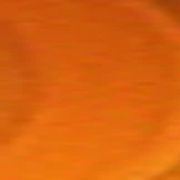 Carrera 244 Progressive No-Lines - Image 13