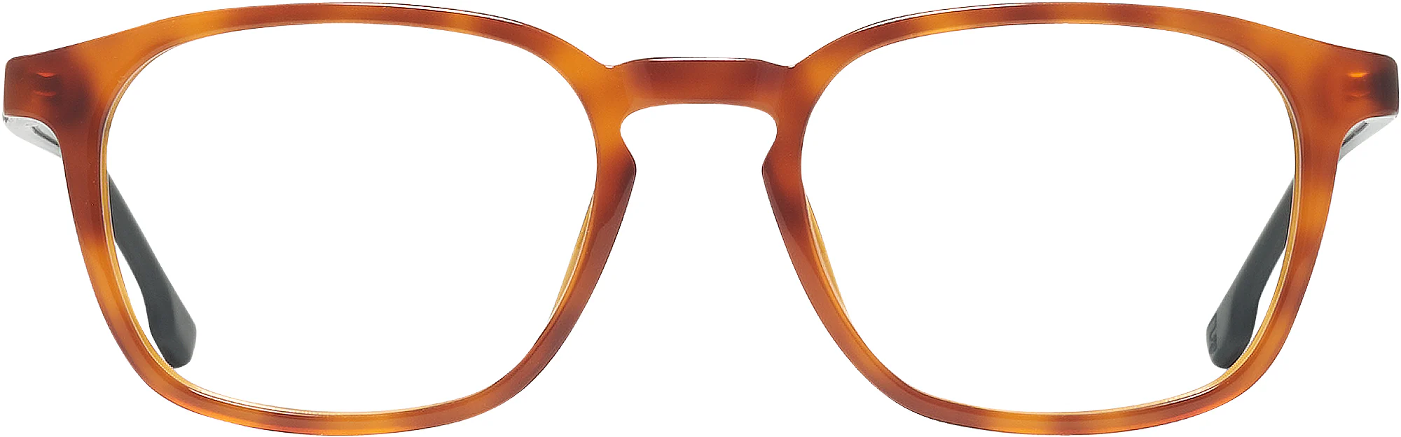 Carrera 244L Single Vision Full Frame - Image 2