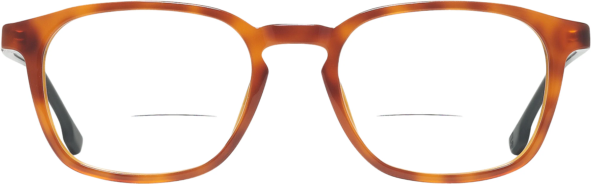 Carrera 244L Bifocal - Image 2