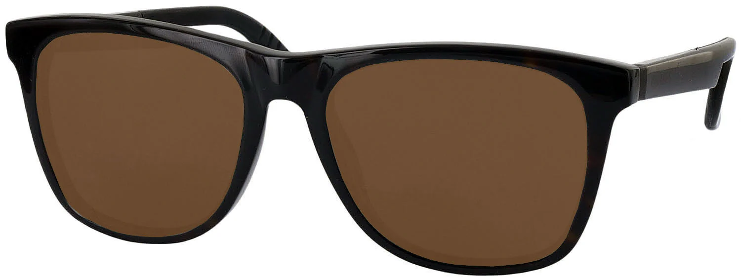 Carrera 4400 Progressive No Line Reading Sunglasses