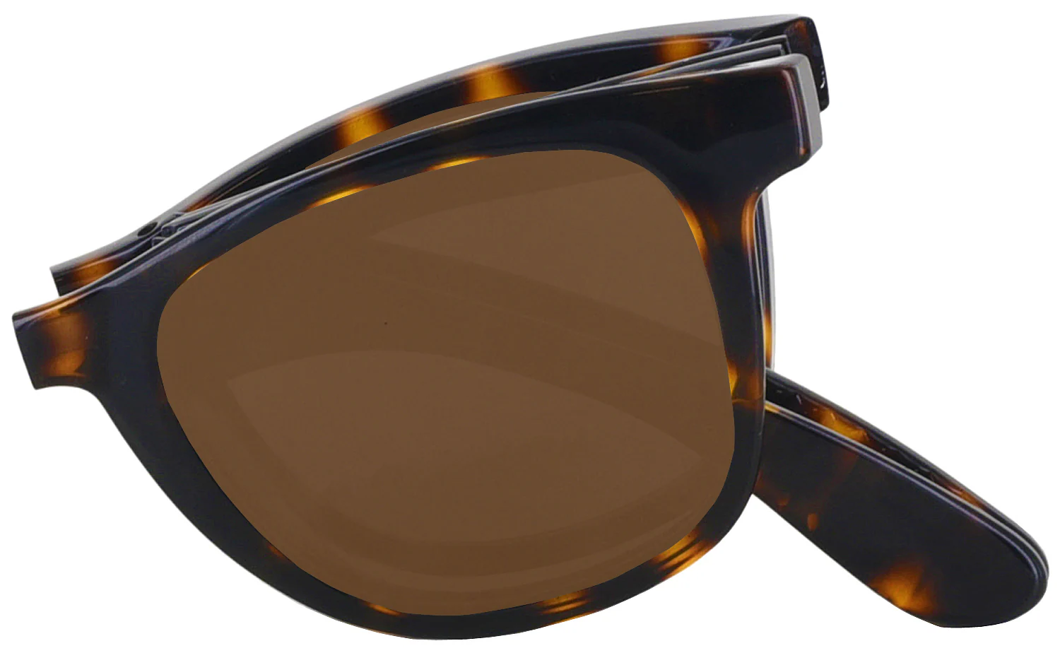 Carrera 6000-FDS Progressive No Line Reading Sunglasses