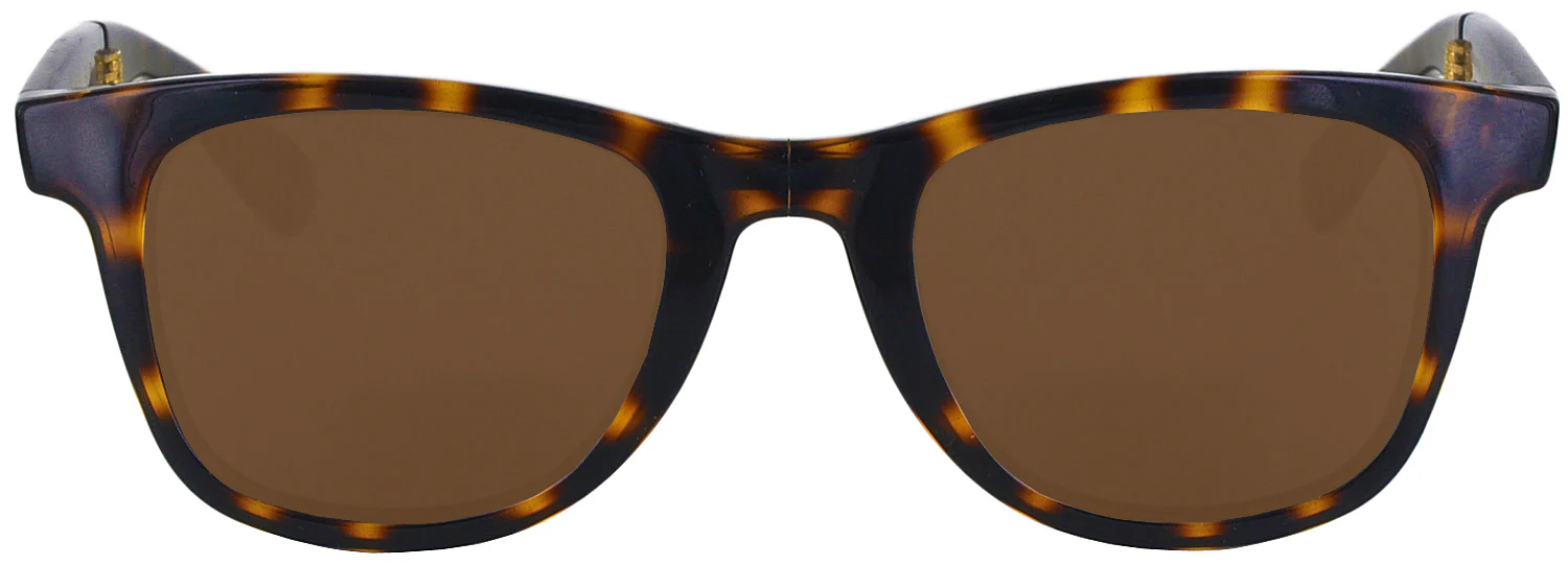 Carrera 6000-FDS Progressive No Line Reading Sunglasses - Image 2