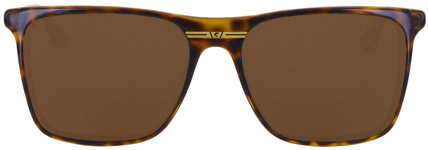 Carrera 6012-S Progressive No Line Reading Sunglasses - Image 2