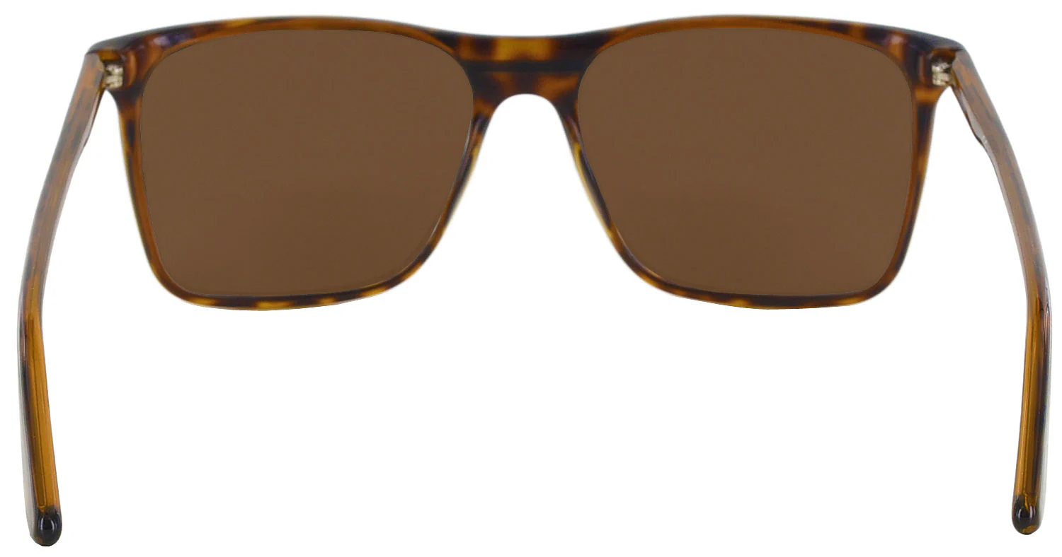 Carrera 6012-S Progressive No Line Reading Sunglasses - Image 4