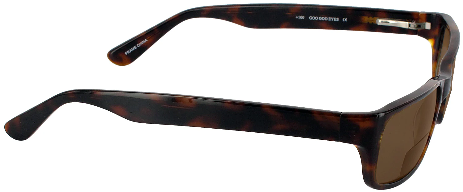 Cary G Bifocal Reading Sunglasses - Image 10