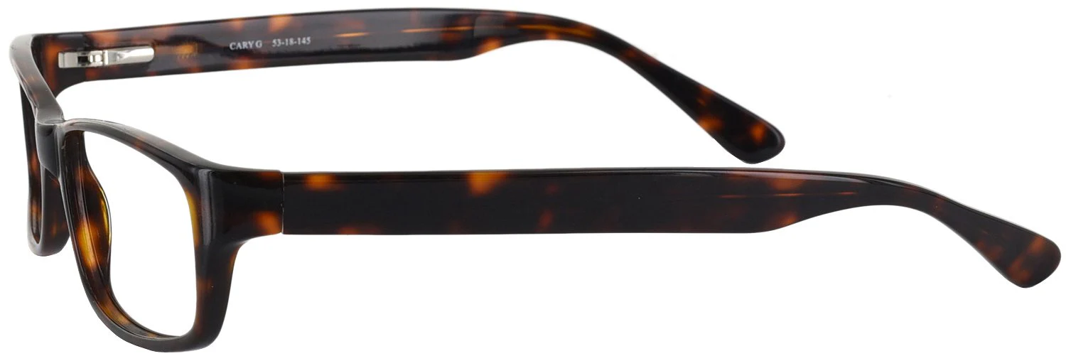 Cary G Progressive No Line Bifocal - Image 6