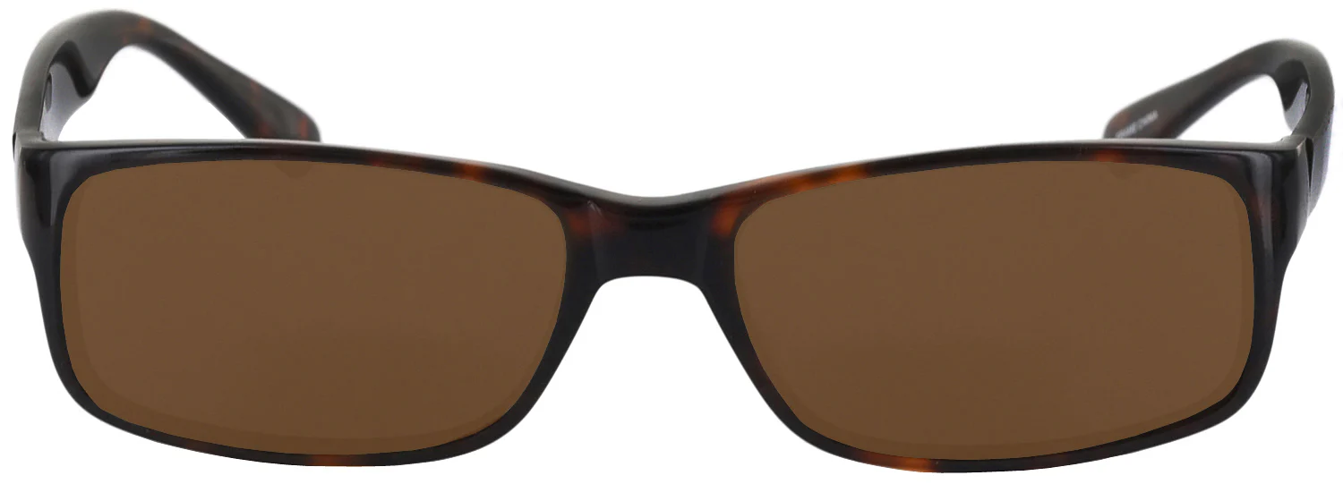 Cary G Progressive No Line Reading Sunglasses - Image 6