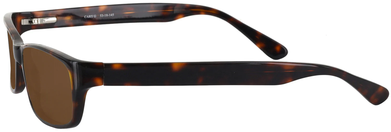 Cary G Progressive No Line Reading Sunglasses - Image 7