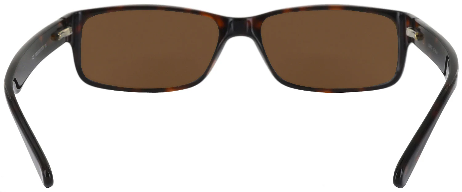Cary G Progressive No Line Reading Sunglasses - Image 8