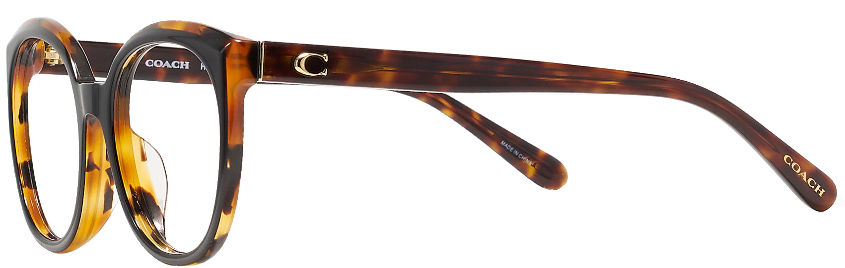 Coach 6130F Progressive No Line Bifocal - Image 3