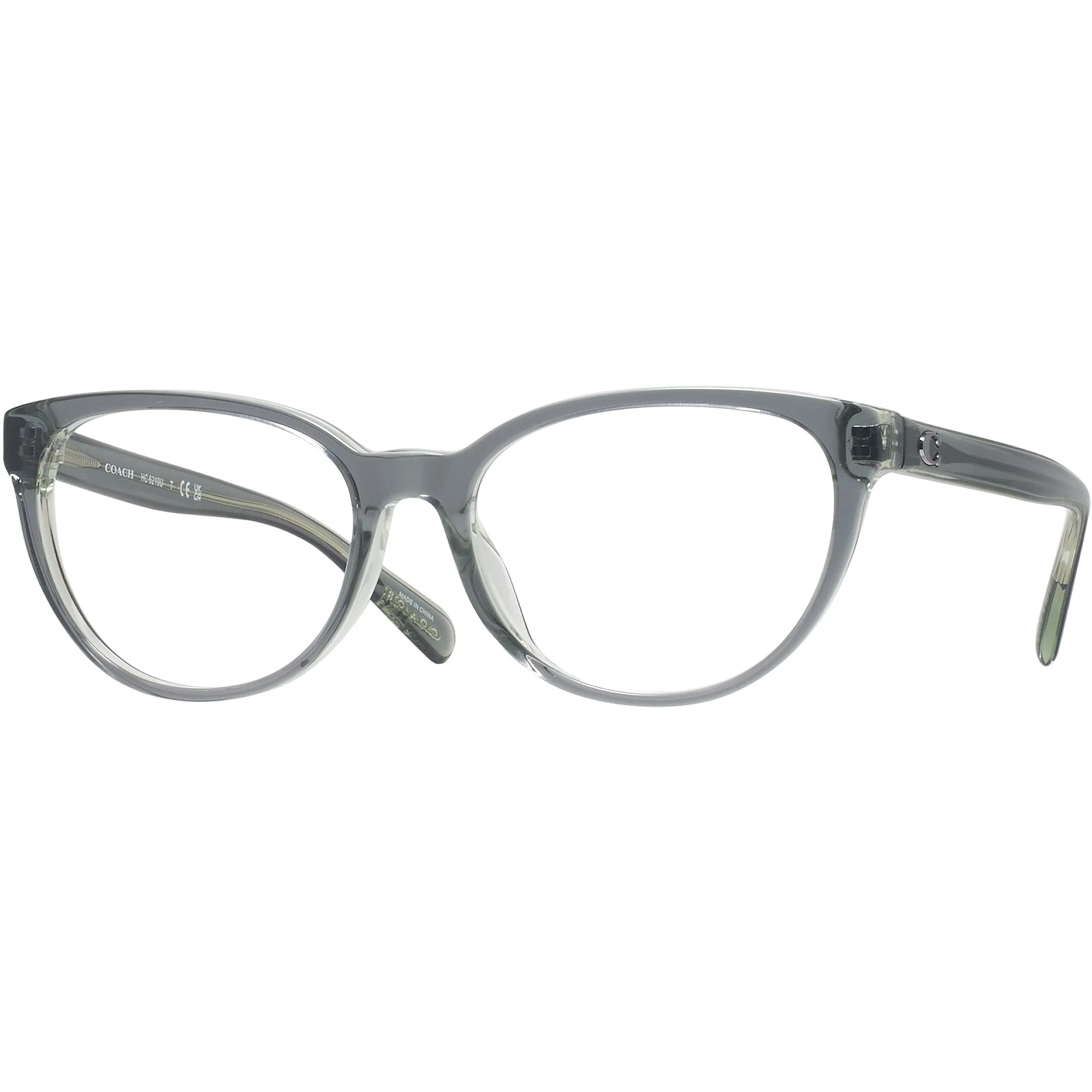 Coach 6210U Single Vision Full Frame - Image 32