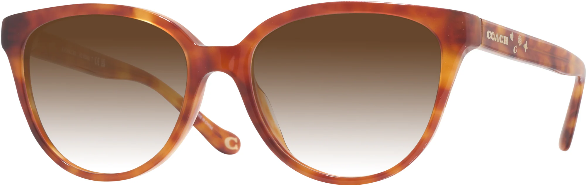 Coach 6234U w/ Gradient Progressive Reading Sunglasses - Image 11
