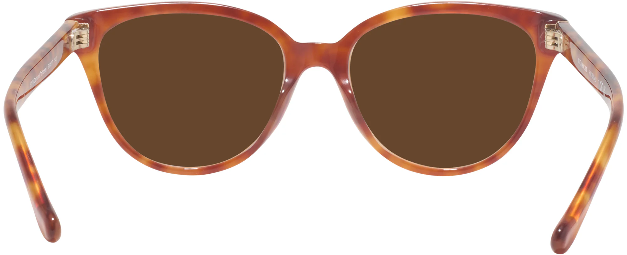 Coach 6234U Progressive Reading Sunglasses - Image 14