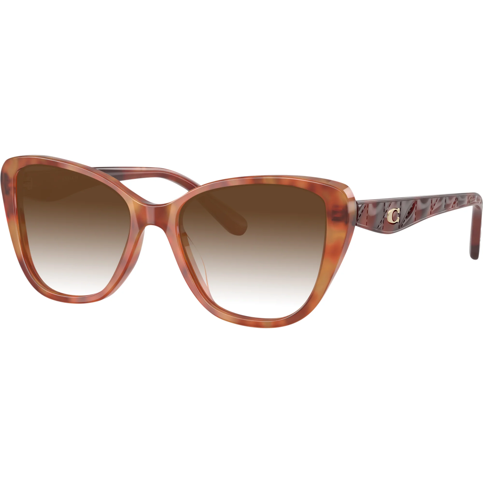 Coach 6255U w/ Gradient Progressive Reading Sunglasses