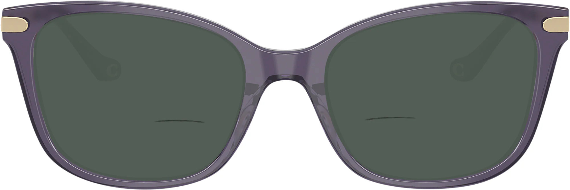 Coach 6261BU Bifocal Reading Sunglasses - Image 5