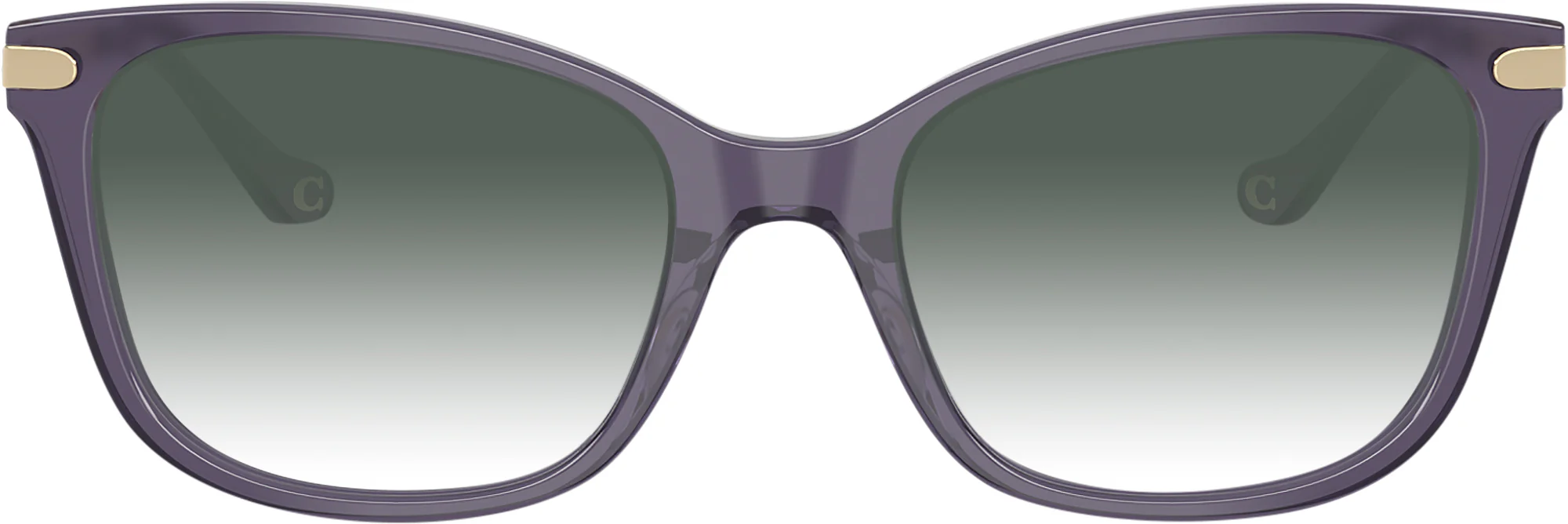 Coach 6261BU w/ Gradient Progressive Reading Sunglasses - Image 5