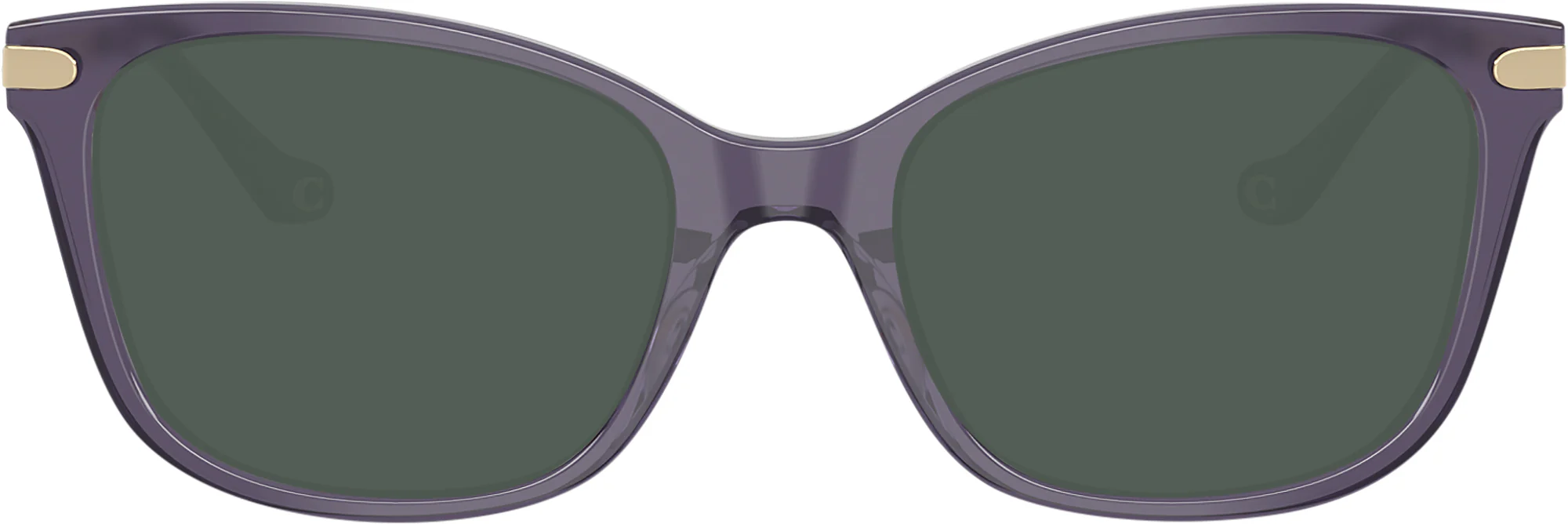 Coach 6261BU Progressive Reading Sunglasses - Image 5