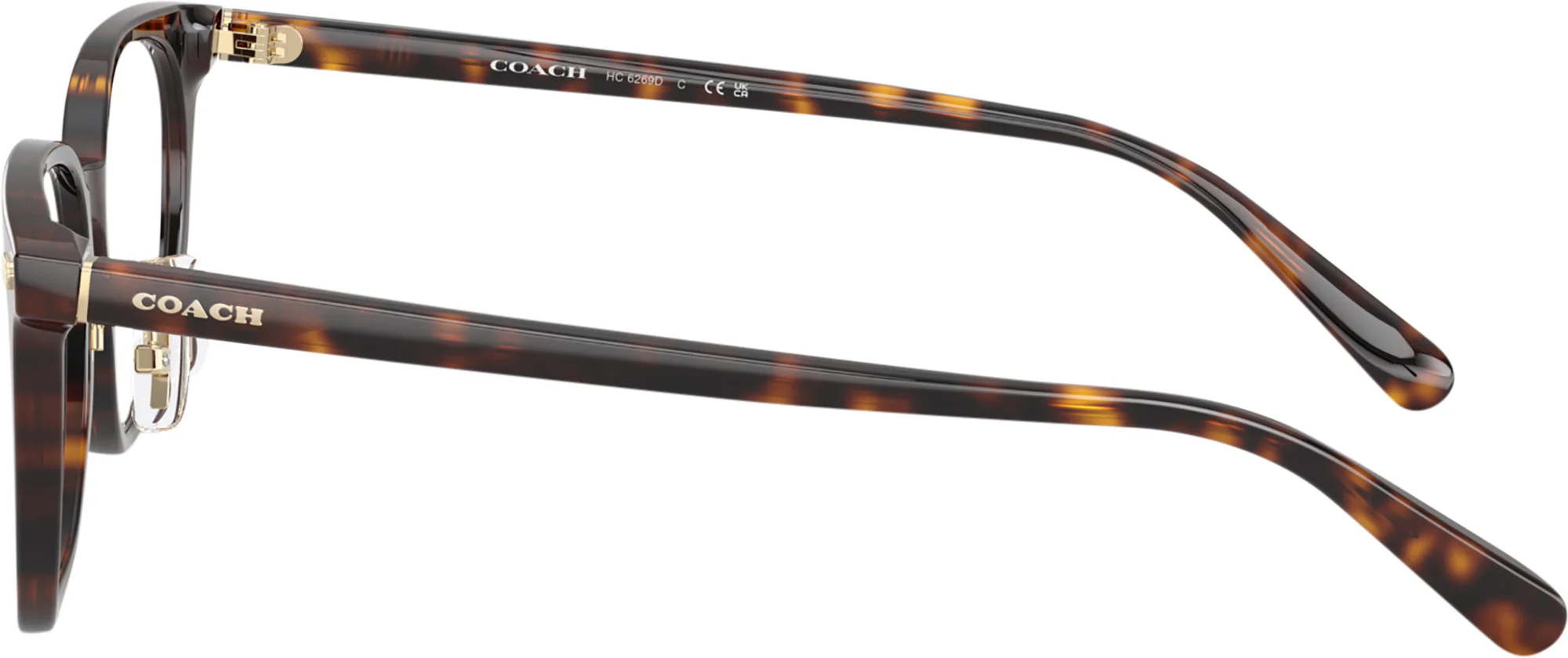 Coach 6269D Bifocal - Image 6