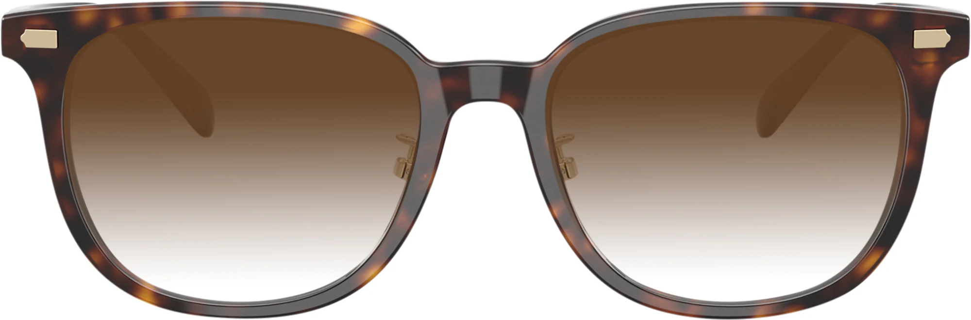 Coach 6269D w/ Gradient Progressive Reading Sunglasses - Image 5
