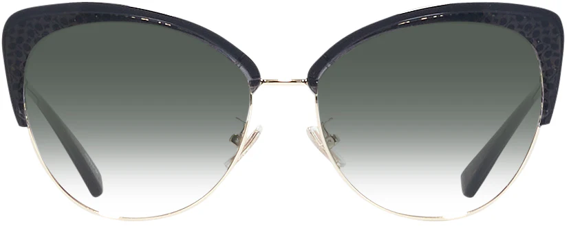 Coach 7110 w/ Gradient Progressive Reading Sunglasses - Image 12