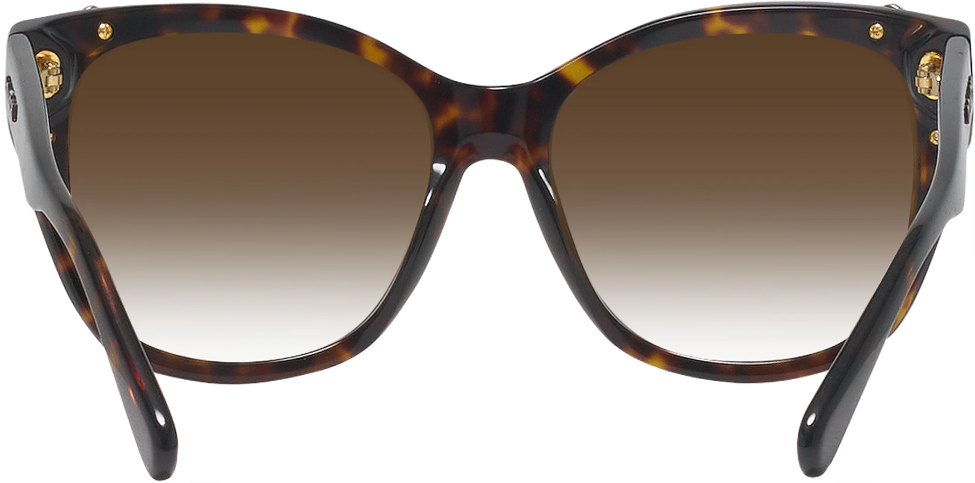 Coach 8244 Sunglasses - Image 4