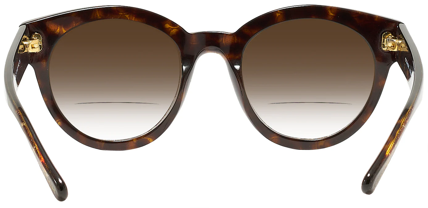 Coach 8265 w/ Gradient Bifocal Reading Sunglasses - Image 14
