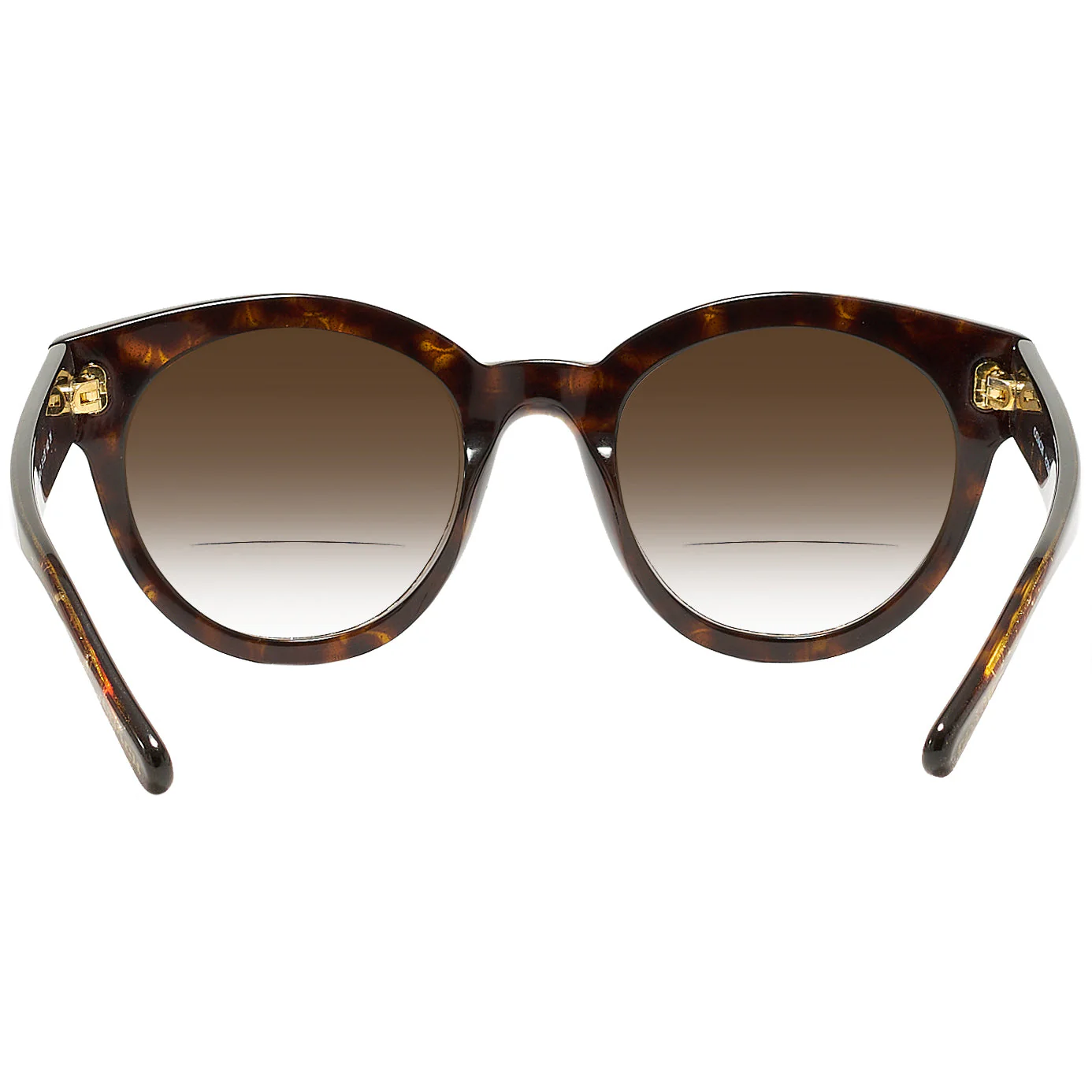 Coach 8265 w/ Gradient Bifocal Reading Sunglasses - Image 22