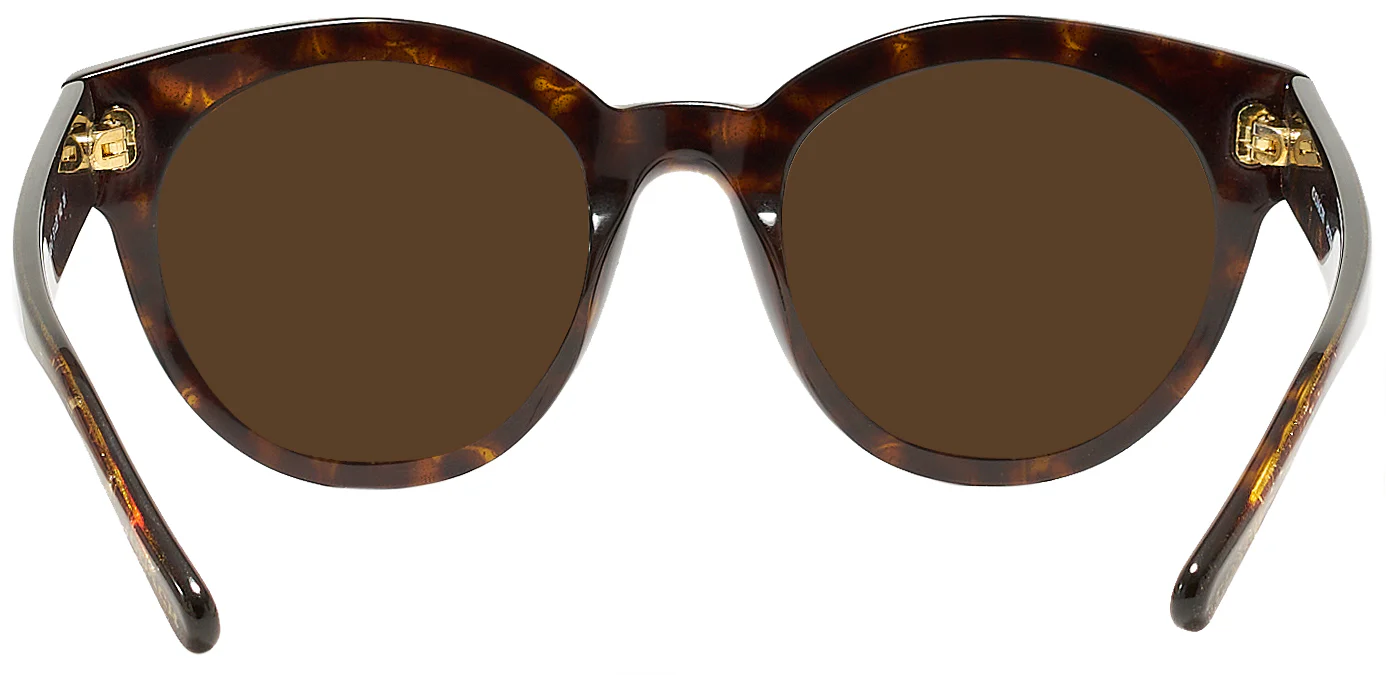 Coach 8265 Progressive Reading Sunglasses - Image 14