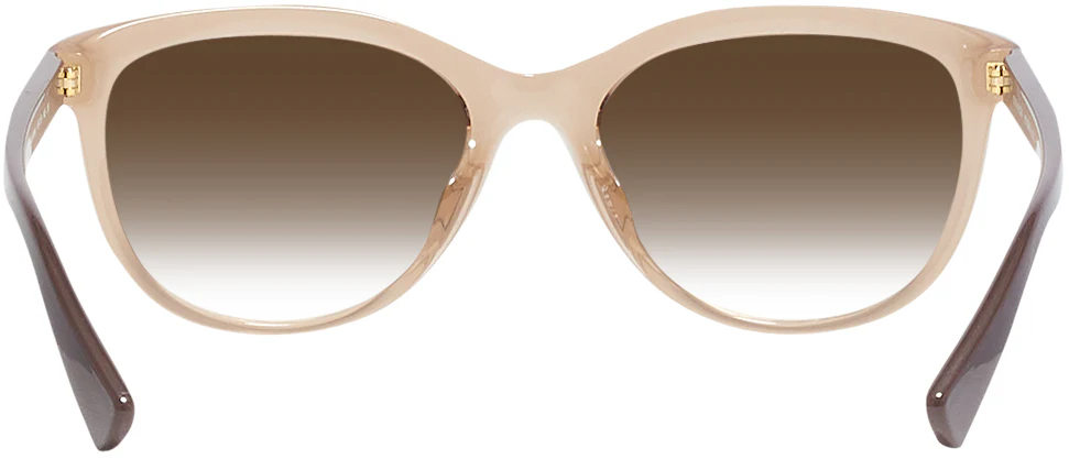 Coach 8285U Progressive No Line Reading Sunglasses with Gradient - Image 4