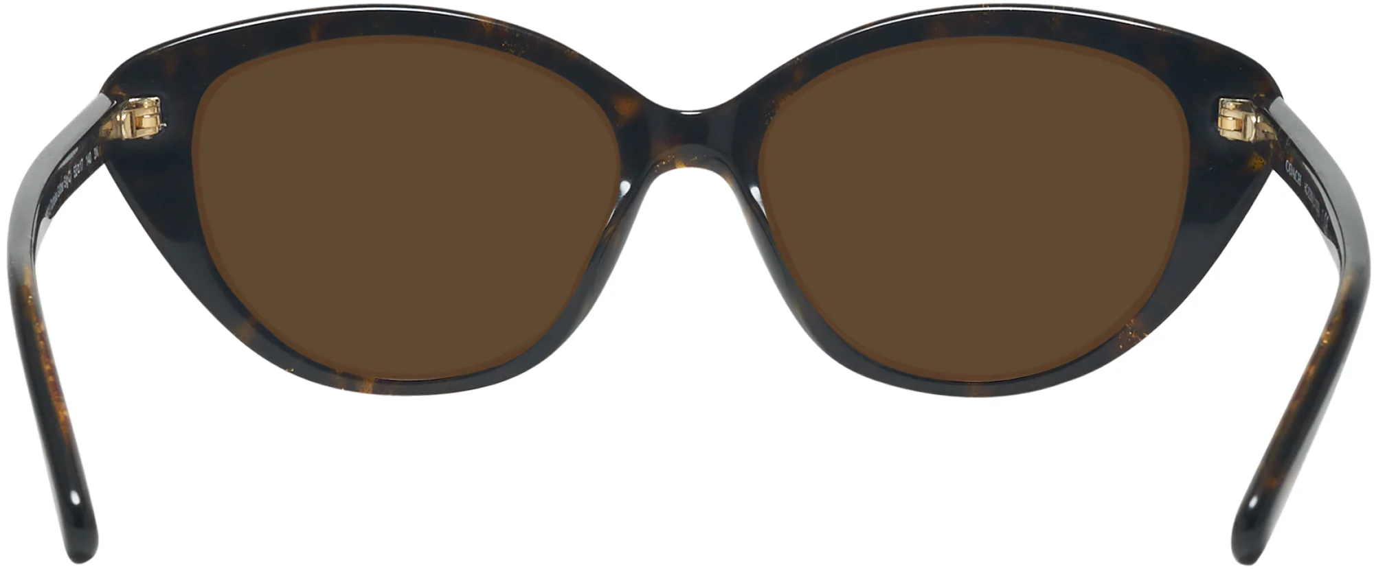 Coach 8288 Progressive Reading Sunglasses - Image 18