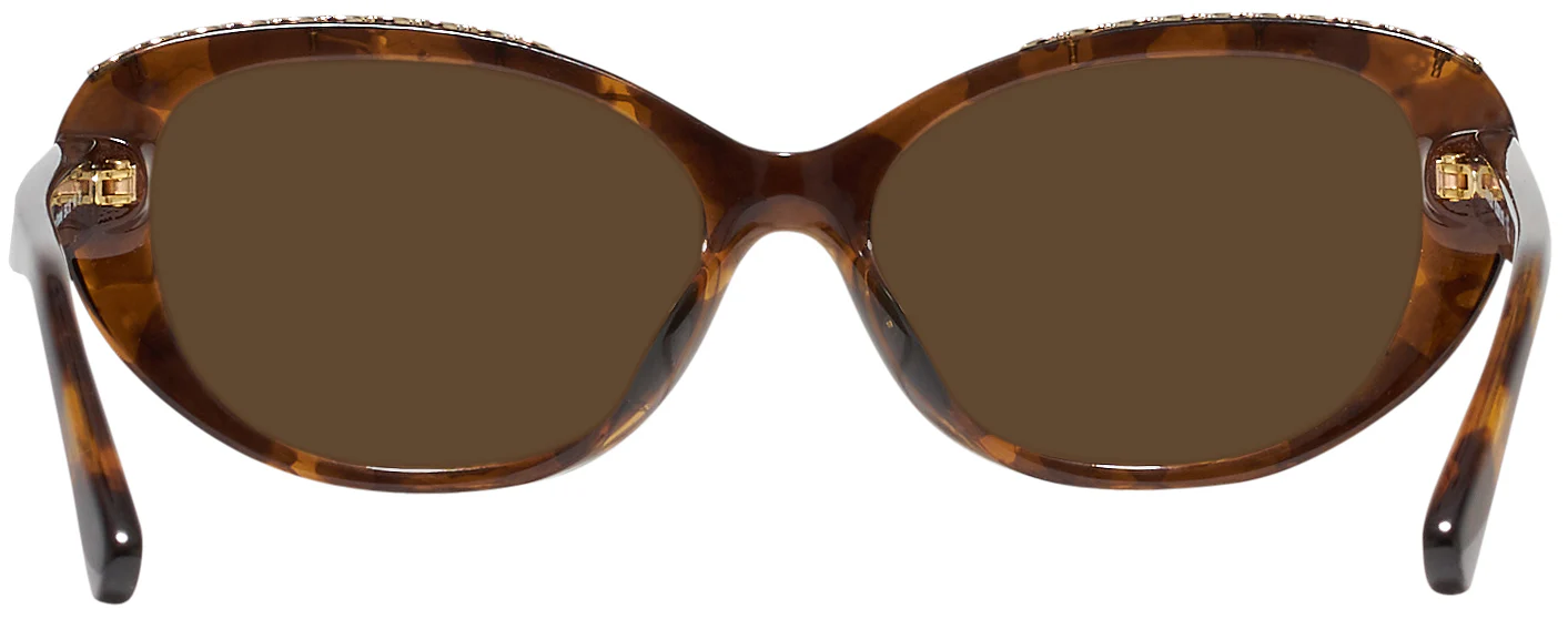 Coach 8296U Progressive Reading Sunglasses - Image 18