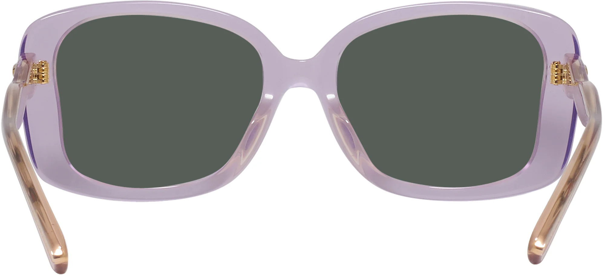 Coach 8334U Progressive Reading Sunglasses - Image 27