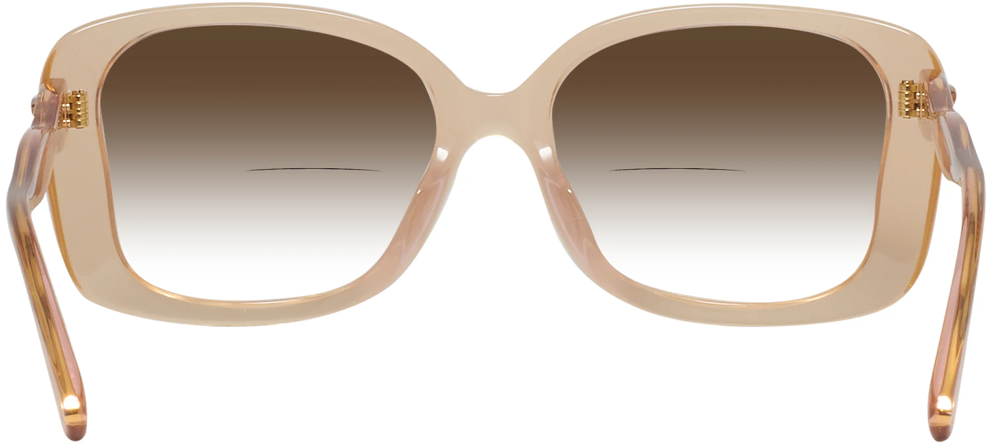 Coach 8334U w/ Gradient Bifocal Reading Sunglasses - Image 19