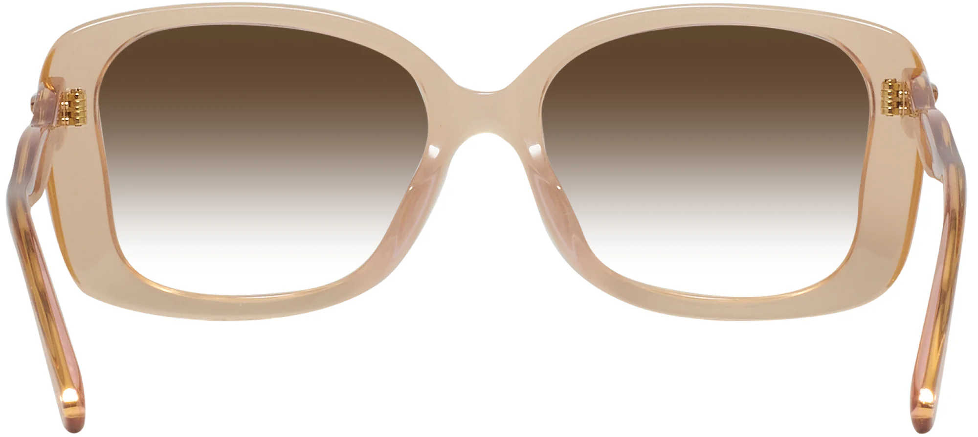 Coach 8334U w/ Gradient Progressive Reading Sunglasses - Image 19