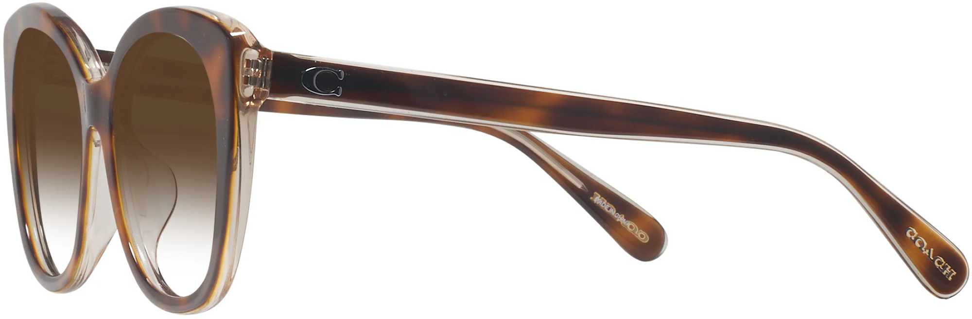Coach 8365U w/ Gradient Progressive Reading Sunglasses - Image 26