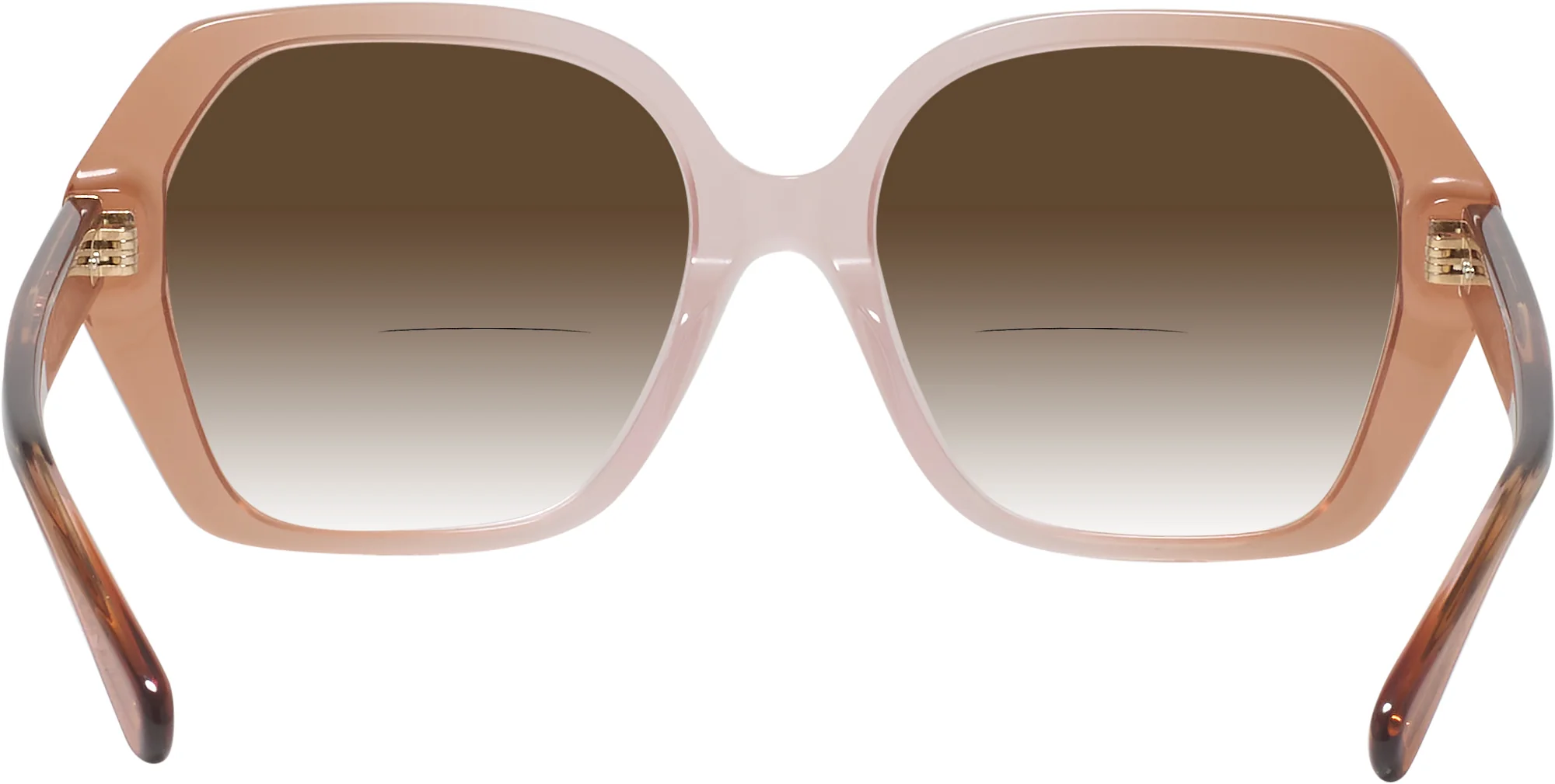 Coach 8404U w/ Gradient Bifocal Reading Sunglasses - Image 18
