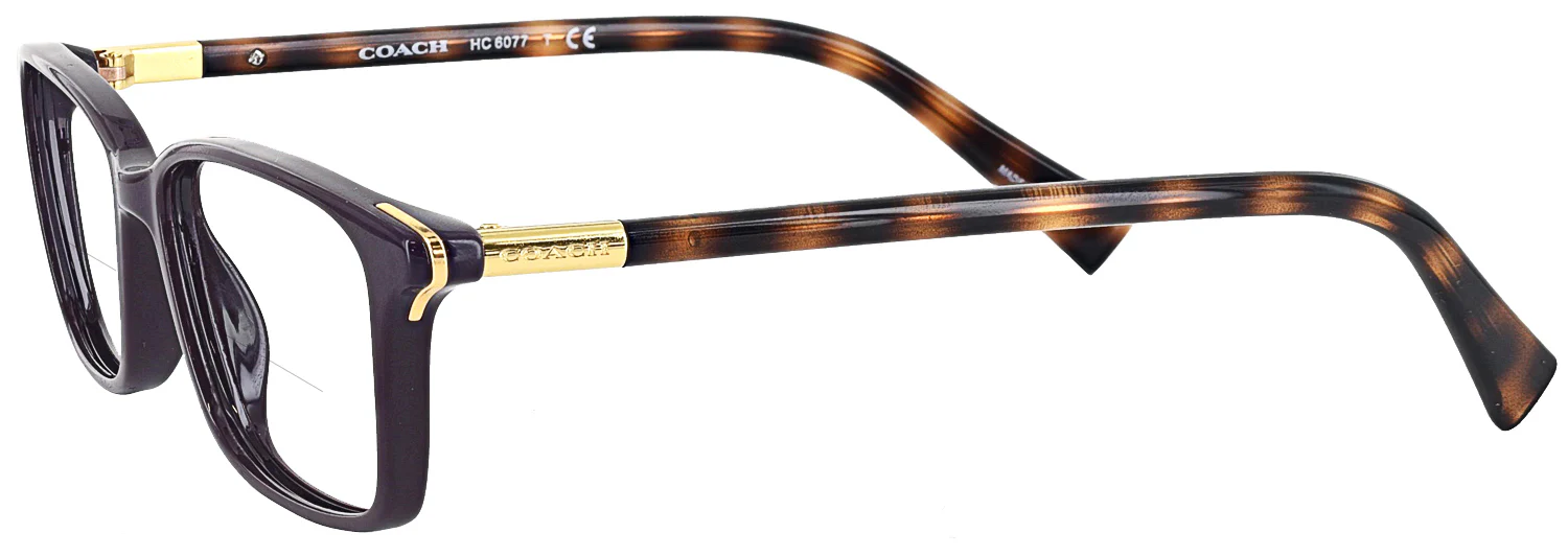 Coach 6077 Bifocal - Image 3