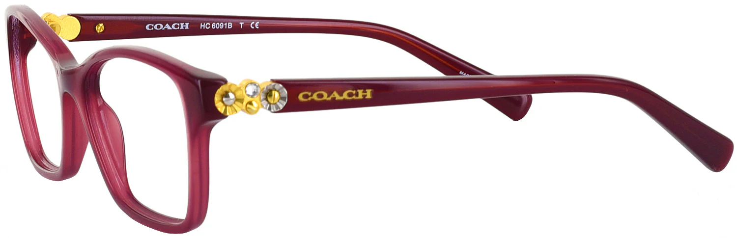 Coach 6091B Progressive No Line Bifocal - Image 3