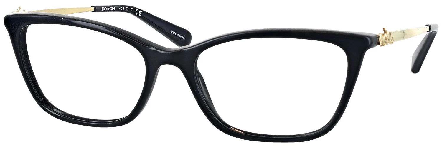 Coach 6107L Progressive No Line Bifocal